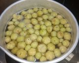 Foto langkah ke 2 dari resep MANISAN BUAH CERMAI♥.