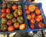 Une image de l'étape 1 de Sauce tomate aux herbes aromatiques, ail et oignon.