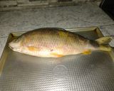 Foto del paso 1 de la receta: Boga al horno