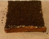 Foto langkah ke 8 dari resep Basic sponge cake.