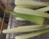 Foto del paso 1 de la receta: Humitas