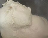 A picture of step 3 of Sweet Hawaiian Dinner rolls 🍍.