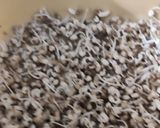 A picture of step 7 of Moth Usal.