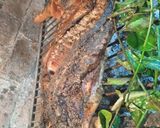 Foto del paso 3 de la receta: Lechón a la Parrilla