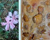 Une image de l'étape 4 de 🌸 Clafoutis aux mirabelles.