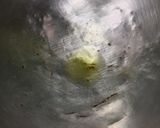 Foto langkah ke 1 dari resep Gulai Ayam dan Nangka Muda.