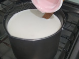 Yogur casero