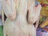 Vịt nấu cam