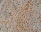 A picture of step 2 of Dal roti.