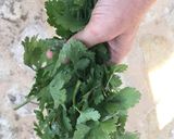 Foto del paso 1 de la receta: Pesto de cilantro