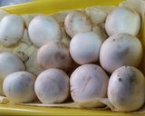 Foto del paso 1 de la receta Champiñones empanados