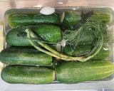 Kovászos uborka recept fázis 1 fotója
