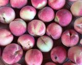 Őszibarack leves recept fázis 1 fotója