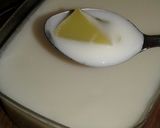 Foto langkah ke 2 dari resep Matcha puding with milk vla.