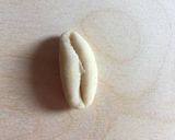 A picture of step 7 of Hand made orecchiette and cavatelli pasta: how to make them.