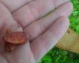 Foto del paso 5 de la receta: 🍅 Fritada de Suflí 🫑