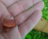 Foto del paso 5 de la receta: 🍅 Fritada de Suflí 🫑