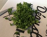 Une image de l'étape 9 de Salade de laitue rougette aux tomates,radis cerises et persil.
