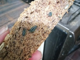 Pan bajo en carbohidratos