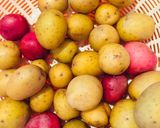 Hình bước làm 1 của món Gà hầm khoai tây