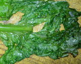 Foto del paso 1 de la receta: LECHUGA RIZADA RELLENA A LA Mario's