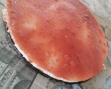 Foto del paso 7 de la receta: Tarta de queso con galleta gluten free