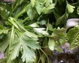 Une image de l'étape 4 de Calamars 🦑 au festival des herbes 🌿 aromatiques🧜 à la marseillaise.
