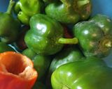 Kaliforniai paprika paradicsomszószban télire 2. (kínai ételhez) recept fázis 3 fotója