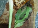 Ikan mujair dan telor ceplok pesmol acar kuning