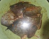 A picture of step 1 of Pepper fish.