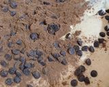Foto langkah ke 7 dari resep Bolu Tape Cokelat.