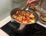 華麗舞裙咖哩雞飯的食譜步驟4照片