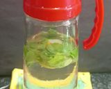 A picture of step 2 of Weight Loss Detox Water.