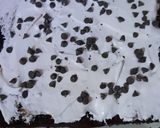 A picture of step 6 of Chocolate cream cake.