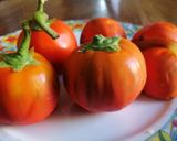 Foto del passaggio 1 della ricetta Melanzana rossa di Rotonda alla griglia con spezie ed erbe mediterranee