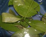 Foto langkah ke 4 dari resep Sayur lodeh terong.