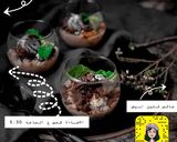صورة لخطوة 1 من وصفة حلا الكراميل سهل سريع