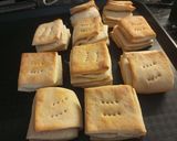 Foto del paso 5 de la receta: Cuadraditos de grasa