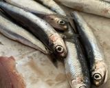 Foto del passaggio 1 della ricetta Rigatoni Integrali al Limonecon Alici/Acciughe Fresche