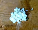 A picture of step 3 of Garlic Amarant.