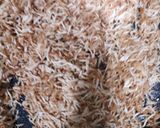 A picture of step 4 of Methi sivayan.