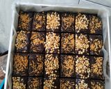 Foto langkah ke 7 dari resep Brownies Kopi Legit.