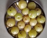 આમળા નો જ્યુસ (Amla Juice Recipe In Gujarati) રેસીપી સ્ટેપ1ફોટો