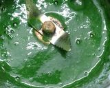 बथुआ की कचौड़ी और बथुआ का रायता (Bathua ki kachodi aur bathua ka raita recipe in hindi) रेसिपी चरण 2 फोटो