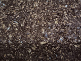 My Choco-Oat