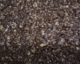 Foto langkah ke 3 dari resep My Choco-Oat.