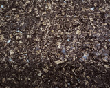 Foto langkah ke 3 dari resep My Choco-Oat.