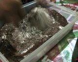 Foto langkah ke 1 dari resep Brownies in Cupcake.