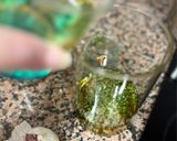 Foto del paso 1 de la receta: Salsa Mery borracha 🍀 🧄 🥴