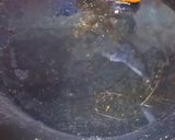 A picture of step 3 of Smoky Chicken Tikka Biryani.